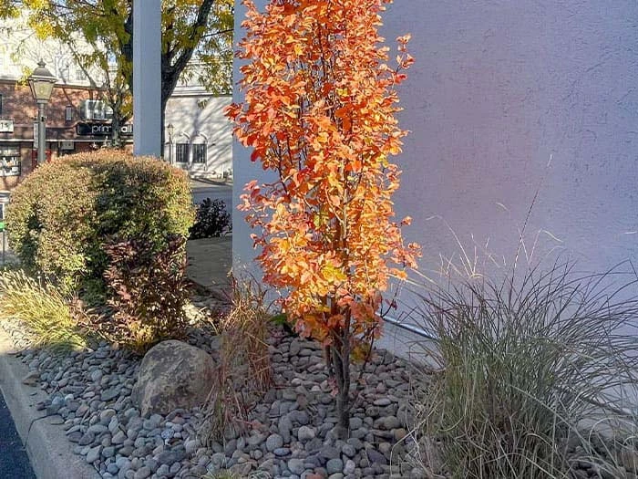 Commercial Landscape and Drainage project in Hatboro, PA